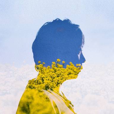 hodachrome