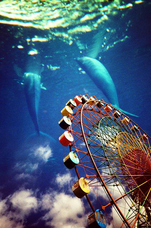 Lomo LC-A