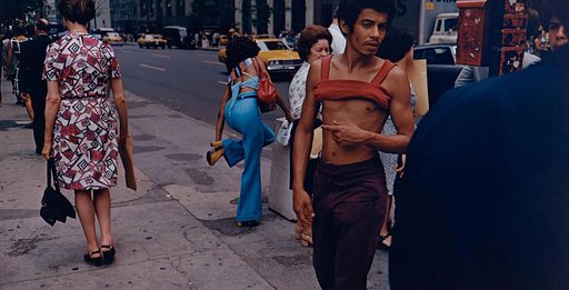 Transformations: American Photographs from the 1970s