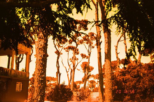 Tamara Saadé's Uncanny Landscapes with LomoChrome Turquoise and Purple Films