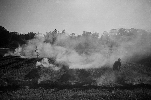 Indonesian Photographer Alva Christo Shoots With Lomography Earl Grey B&W ISO 100