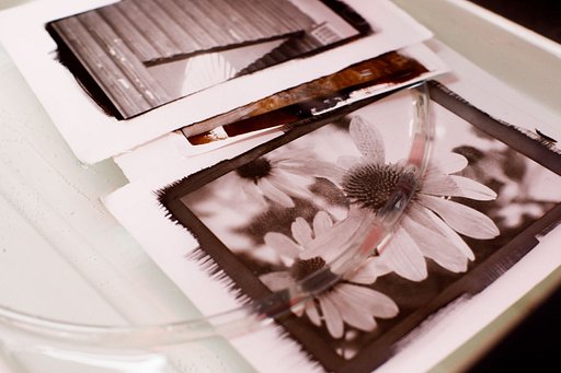 Penumbra Foundation Spring Workshops