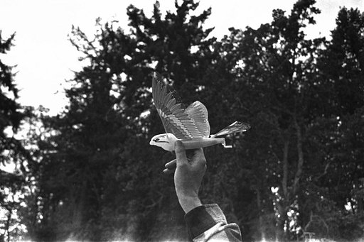 How to tell a story with a photograph?