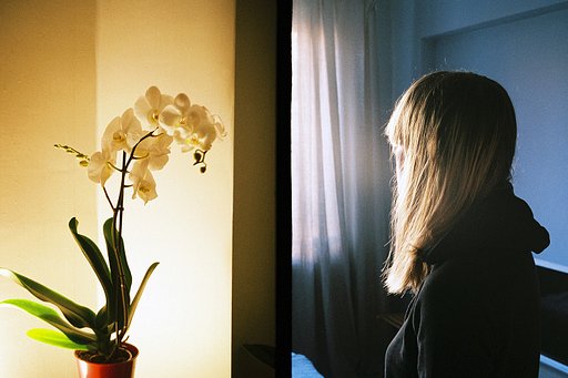The Other Half