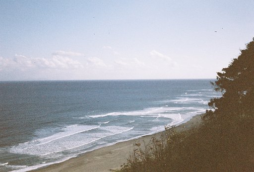 Taiwan Film Lover Rli's First Impression of Our New LomoChrome Color '92 ISO 400 Film