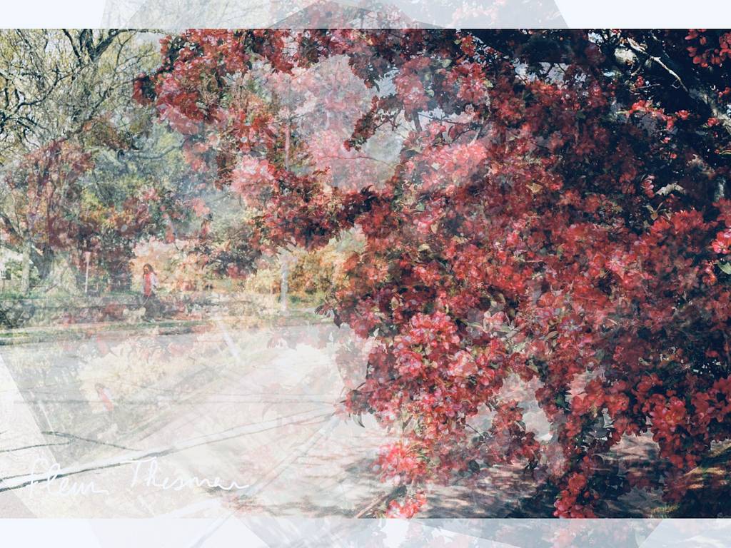 Lomography Newcomers: @fleurthesmar on the Art of Science and the Science of Art