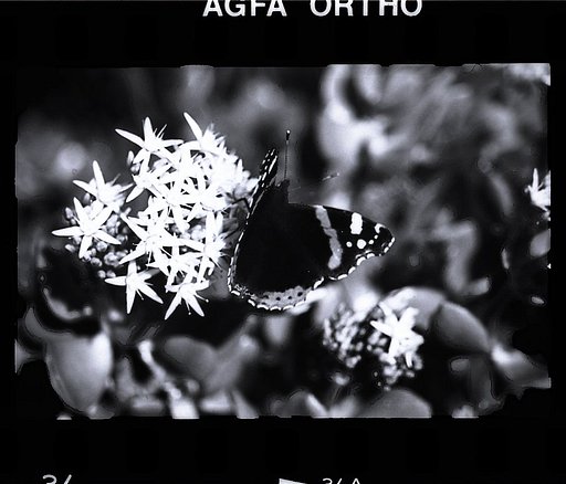 What is the difference between panchromatic and orthochromatic film?