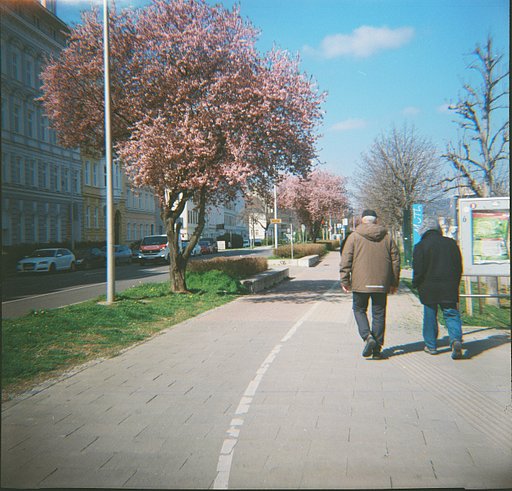 Comparison Test: What is the Best ISO Film to Use with the Diana F+?