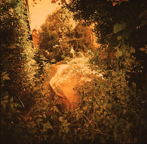 Tipster: Cross-processing Our LomoChrome Films as Slide Film 