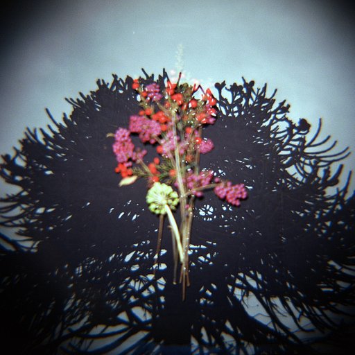 Bryan Berryeater on Creating Beauty in the Mundane with the Diana F+