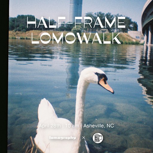 Half Frame LomoWalk with Ball Photo Supply
