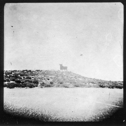 Making a Moment: Manel Esteban’s Pinhole Perfection With a Biscuit Can