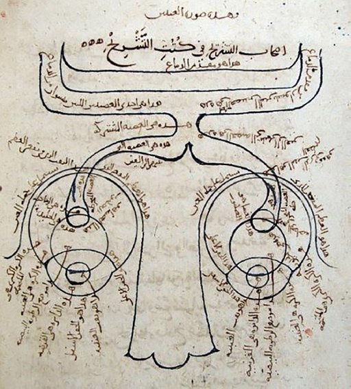 Ḥasan Ibn al-Haytham: The Father of Modern Optics