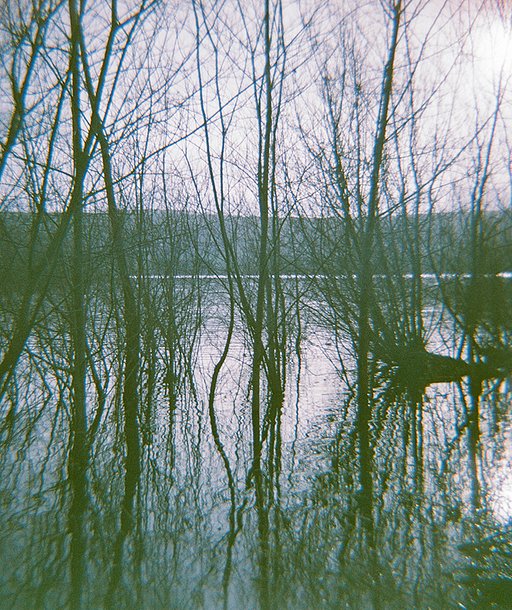 Trippy & Temporal with Jasmine Ashley-Locke and the Diana F+