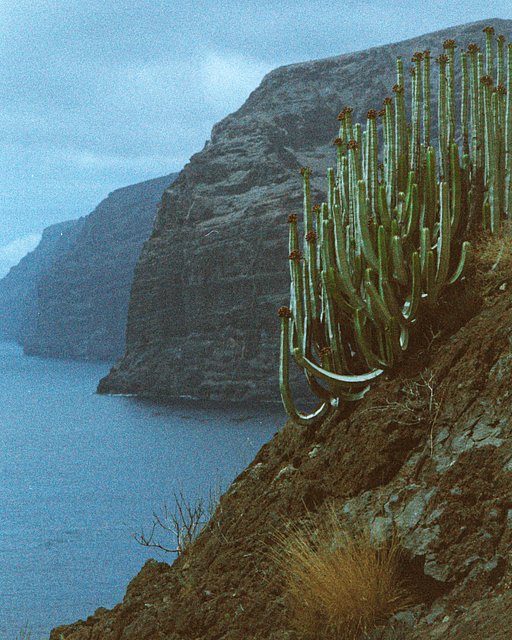 Calvin Ben's First Impressions of the New LomoChrome Color ’92 ISO 400 35 mm Film