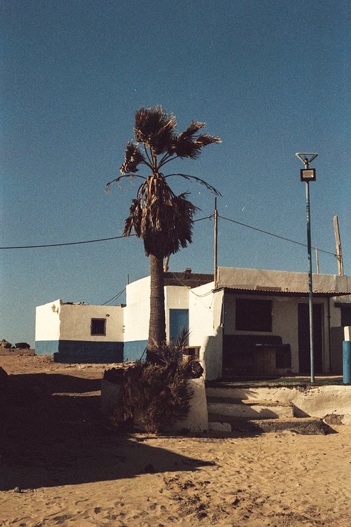 First Impressions of the LomoChrome Color '92 Sun-kissed 35 mm Film by Calvin Ben