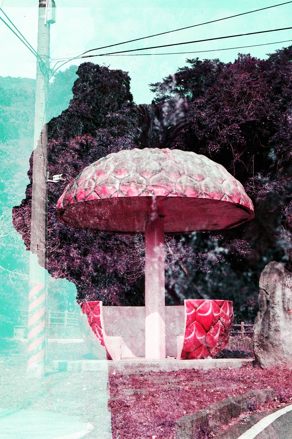 A Lomography International Film Swap (Part 3)
