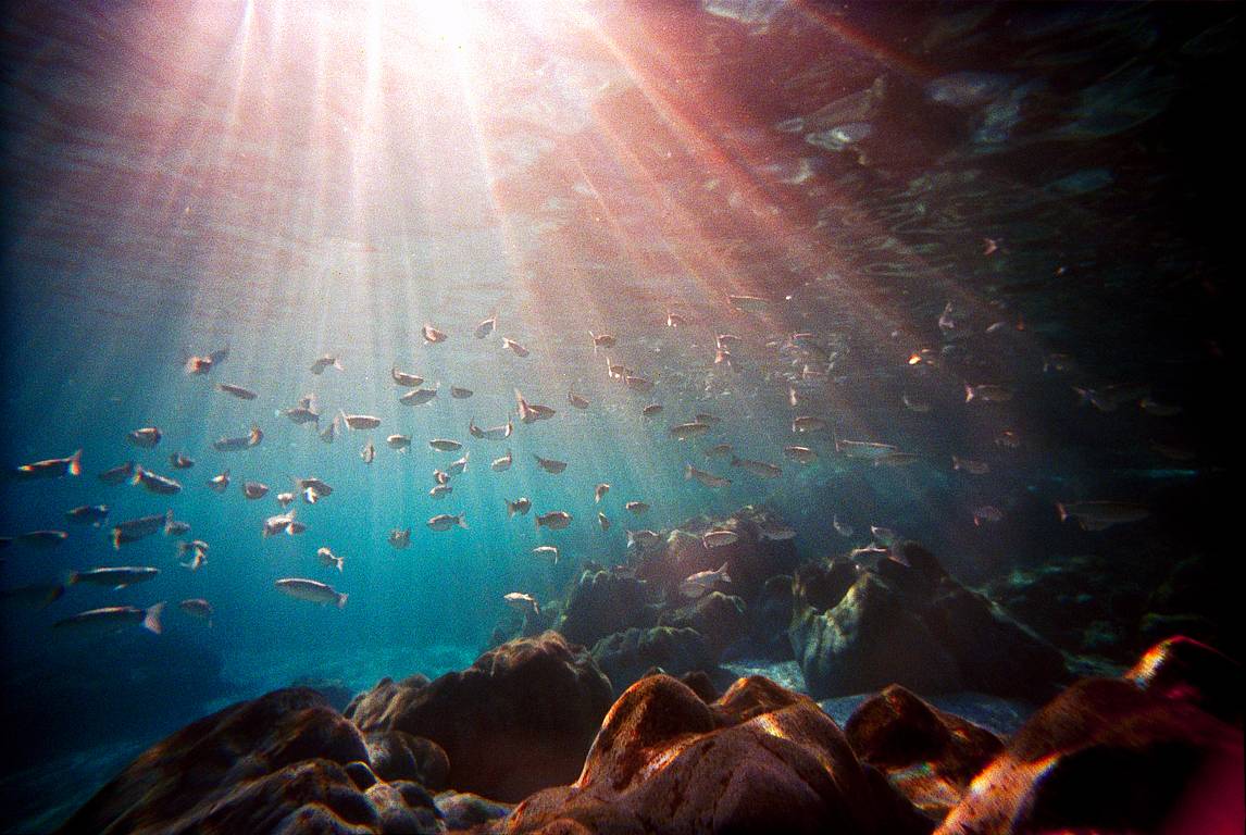 Lomo LC-Wide