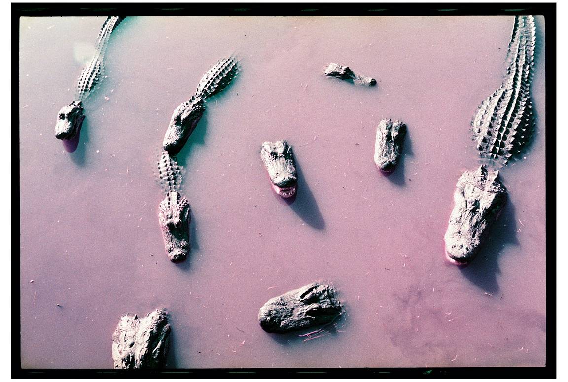 Alex Bickford's International Adventures with Lomography 35 mm Film