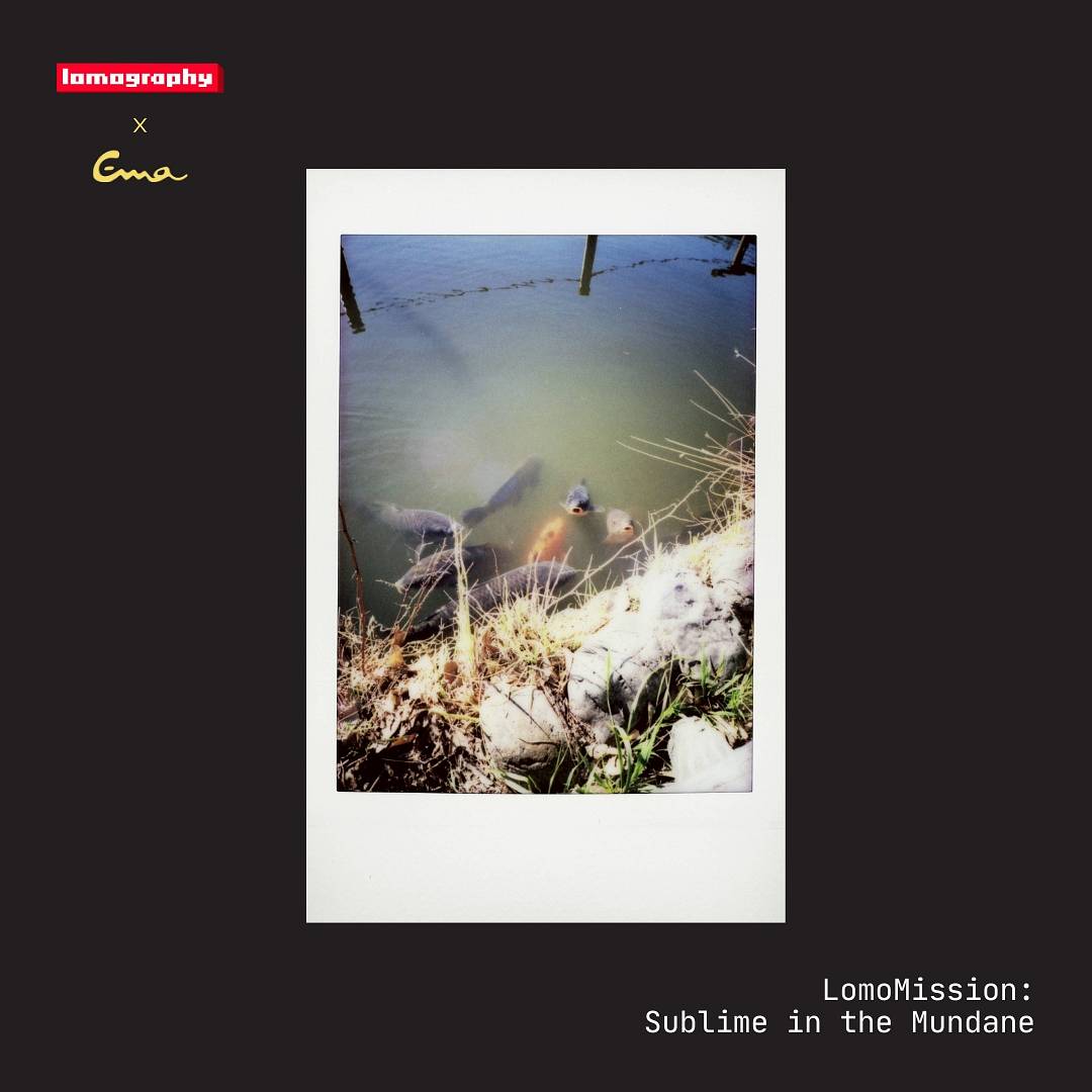 Lomography × Ema Ichikawa: Sublime in the Mundane
